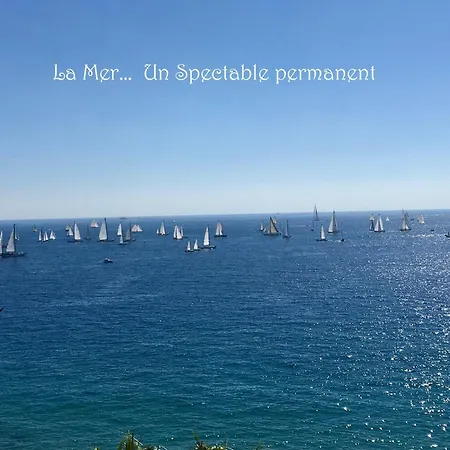 Toitmer Daire Cannes