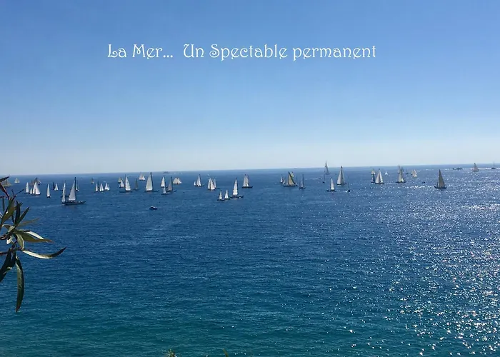 Toitmer Daire Cannes
