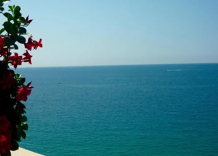 Toitmer Cannes