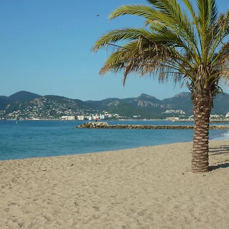 Toitmer アパート *