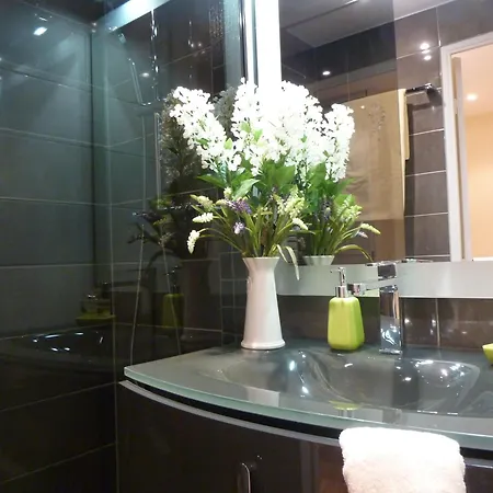 Apartment Toitmer Cannes